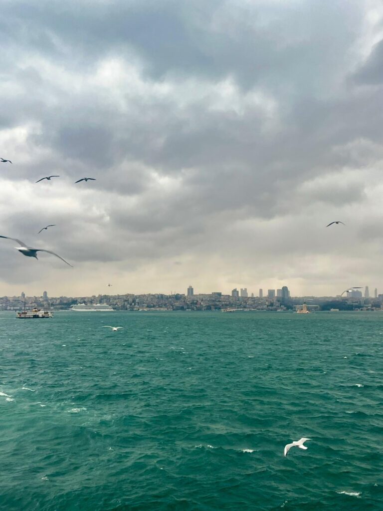 Derneğimizin yapmış olduğu iki günlük İstanbul gezisi nihayete ermiştir.